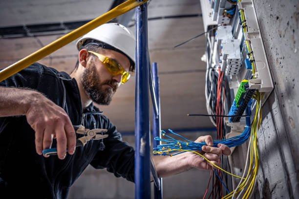 Best Electrical Troubleshooting Services  in Chrisman, IL