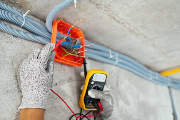 Best Electrical System Inspection  in Chrisman, IL
